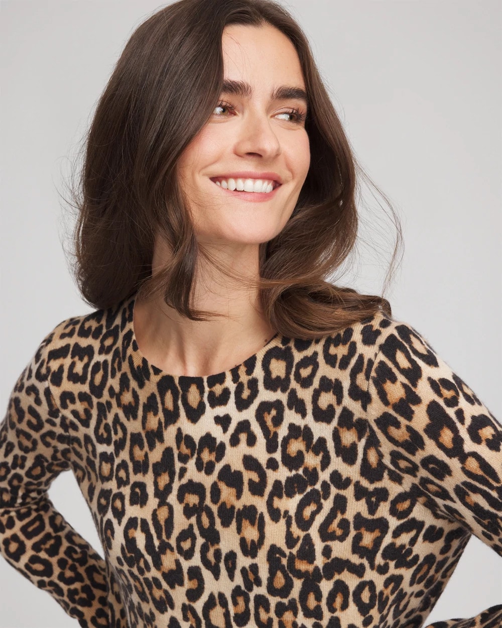 Chico's Women | Cashmere Animal Long-Sleeve Pullover Sweater CAMEL