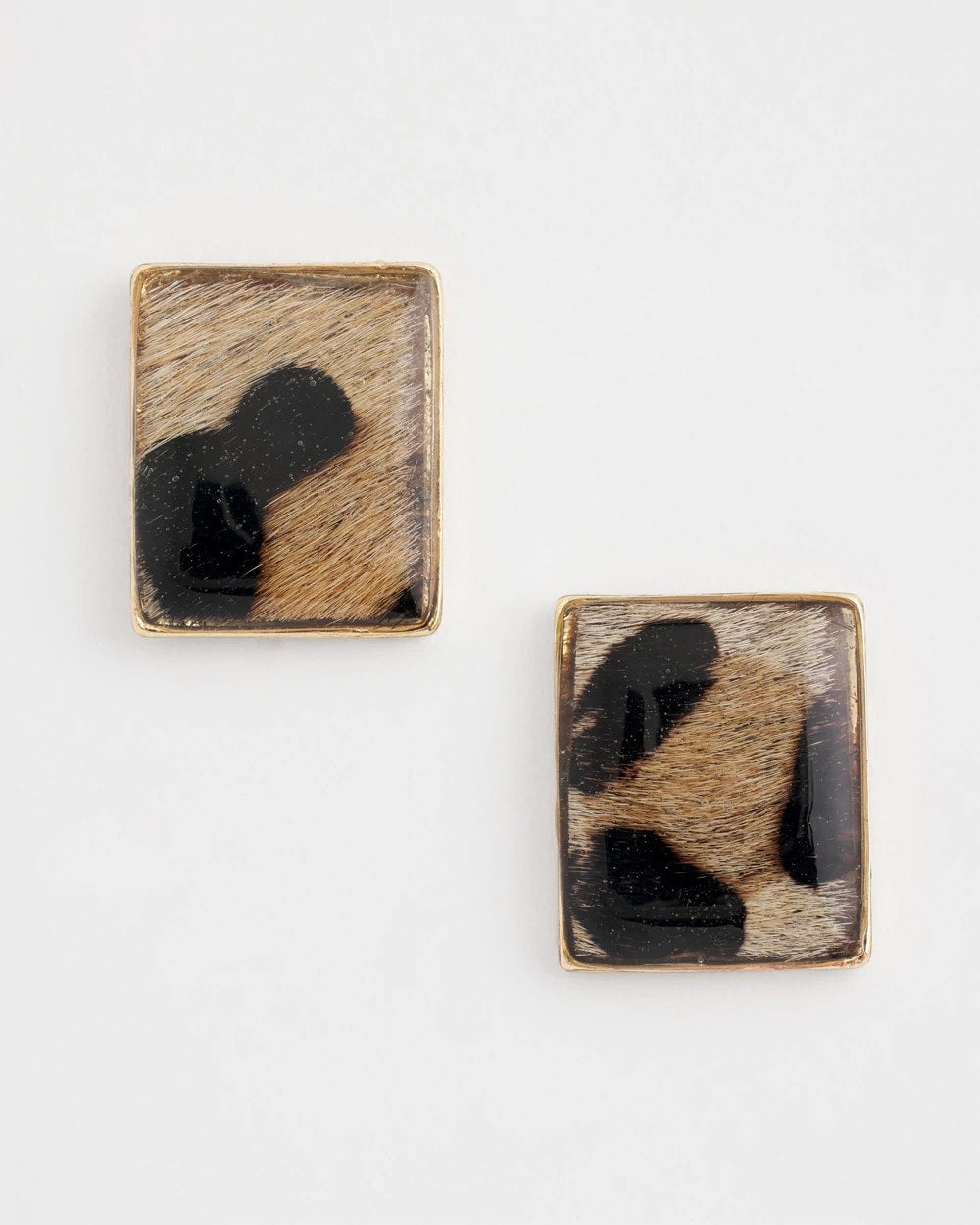 Chico's Women | Chico's Originals Animal Square Stud Earrings ANIMAL PRINT