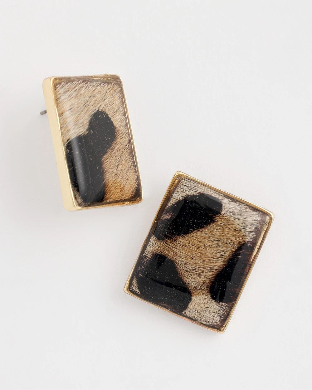 Chico's Women | Chico's Originals Animal Square Stud Earrings ANIMAL PRINT